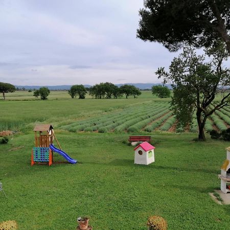 Agriturismo Susanna E Atria Bibbona Εξωτερικό φωτογραφία