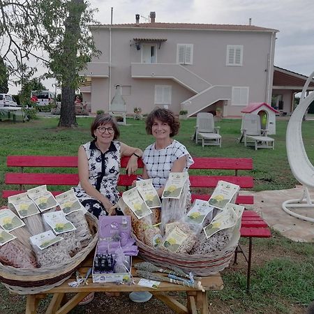 Agriturismo Susanna E Atria Bibbona Εξωτερικό φωτογραφία