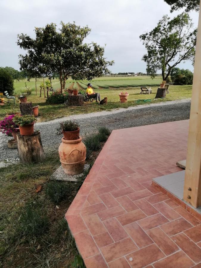 Agriturismo Susanna E Atria Bibbona Εξωτερικό φωτογραφία