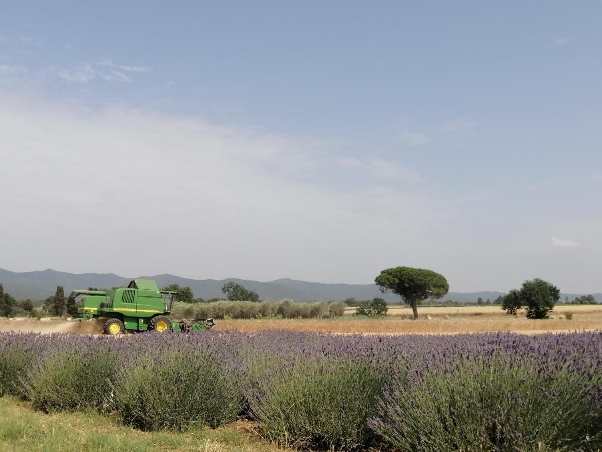 Agriturismo Susanna E Atria Bibbona Εξωτερικό φωτογραφία
