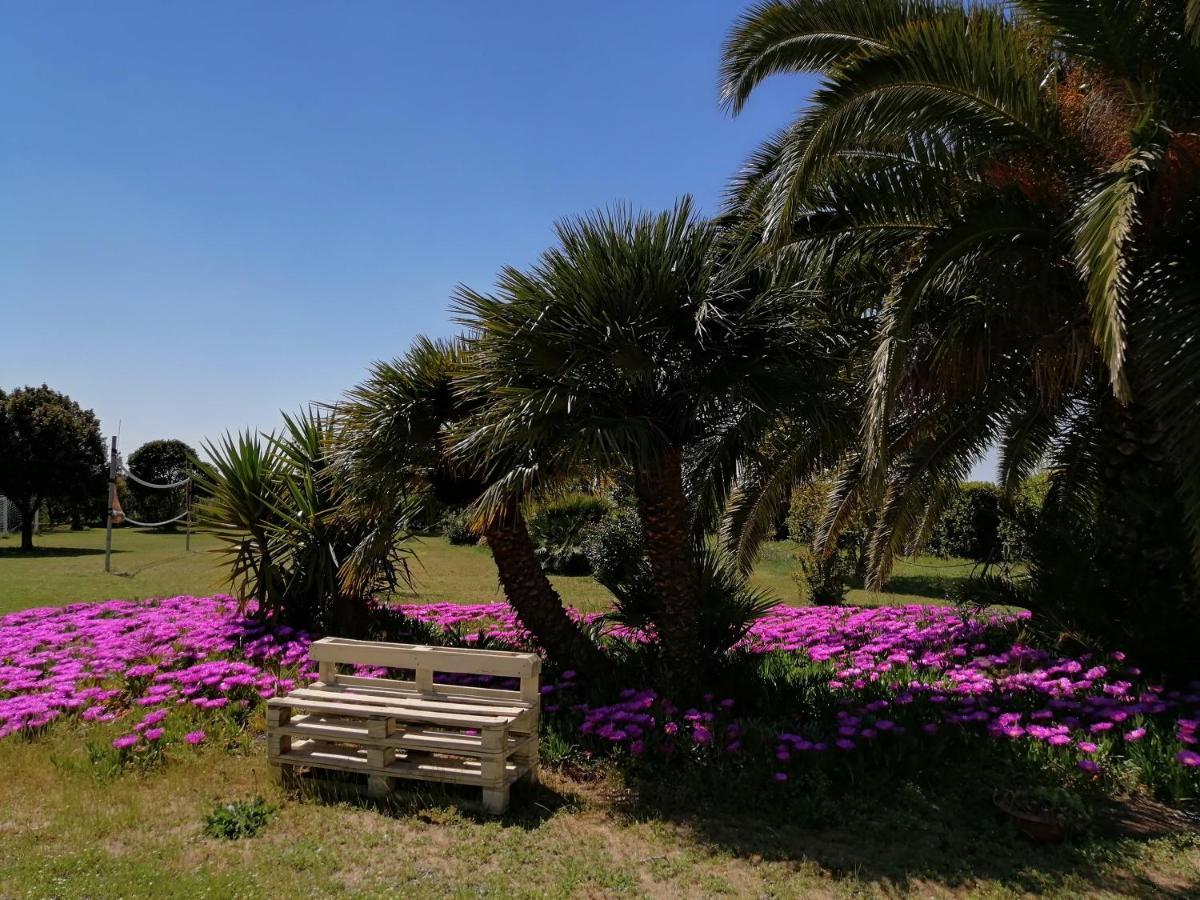 Agriturismo Susanna E Atria Bibbona Εξωτερικό φωτογραφία